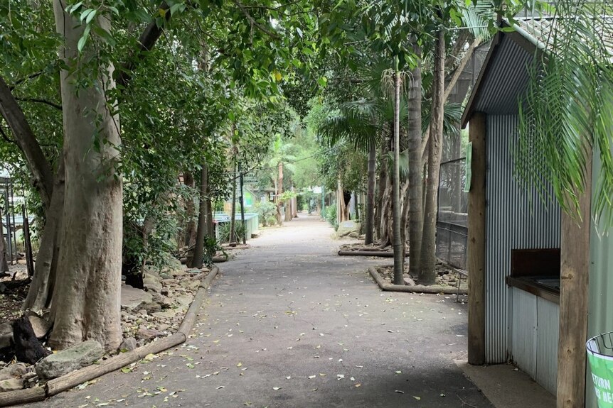 A view of the wildlife park with no people. 