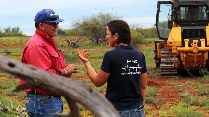 Pilbara Mesquite Management Committee standing in a paddock, talking