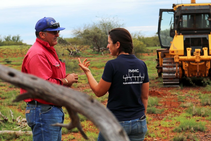 Two members of the Pilbara Mesquite Management Committee standing in a paddock, talking
