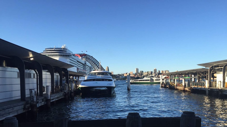 The Sydney ferry that crashed into a pontoon