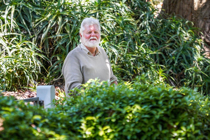 A man with a white beard stand among some ferns smiling.