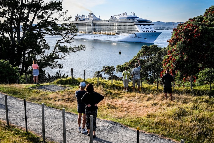 People wave from the grassy shore as a cruise ship is on the water