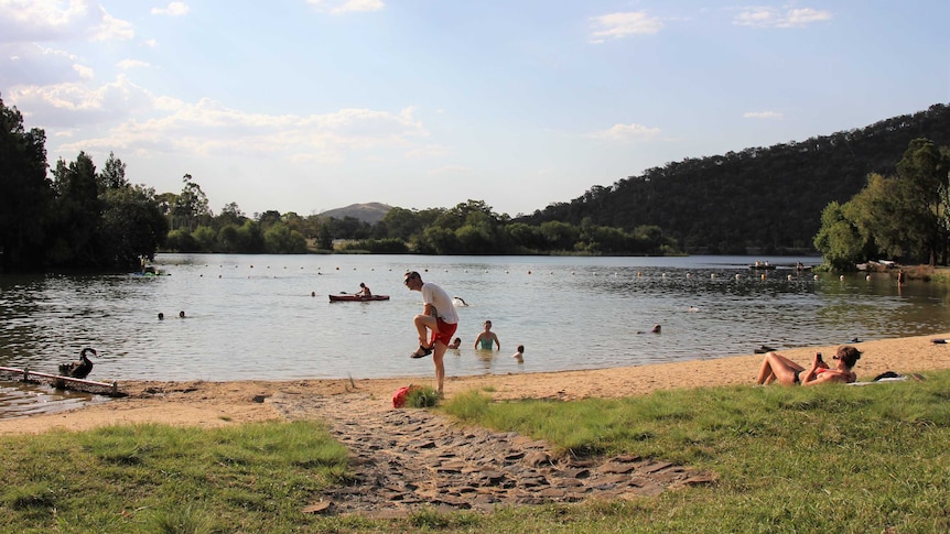 People relax by and swim in Lake Burley Griffin, while others kayak, during a summer heatwave.