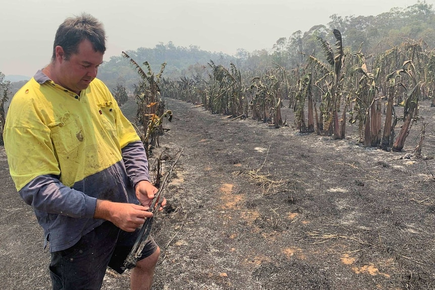 Richard Benson standing with scorched ground and burnt banana trees behind.