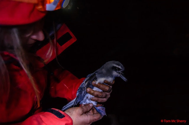 Researcher holds a Prion