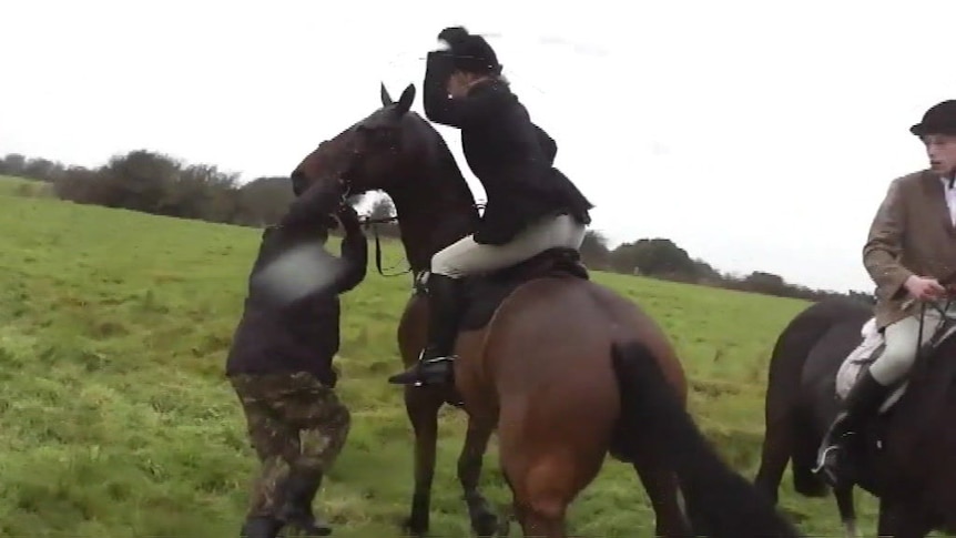 Fox hunter filmed whipping protester who grabbed her horse's bridle