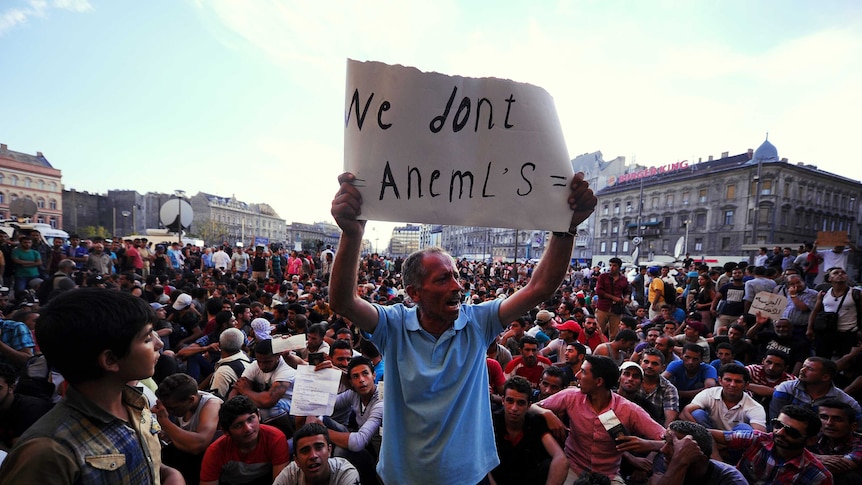 Asylum seeker protests in front of the Keleti railway station in Budapest