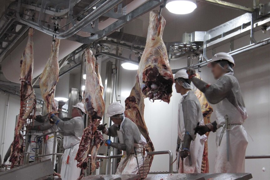 Four men wearing hard hats and aprons work in an abattoir 