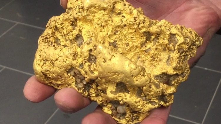 A gold nugget sitting in a man's hand. July 2019
