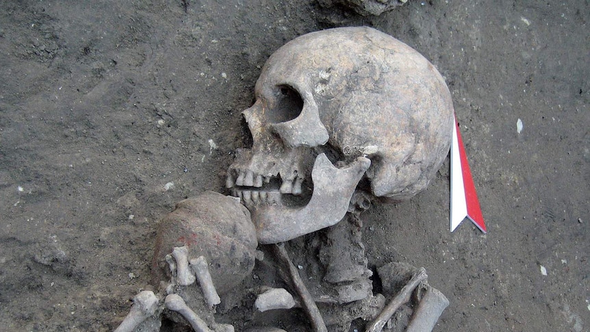 A skeleton in what could be the remains of the oldest prehistoric city in Europe