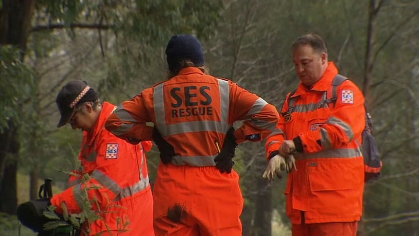 SES rescue workers in bright orange look between trees.