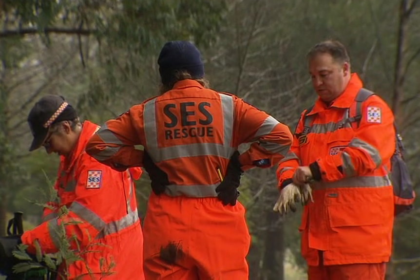 SES rescue workers in bright orange look between trees.