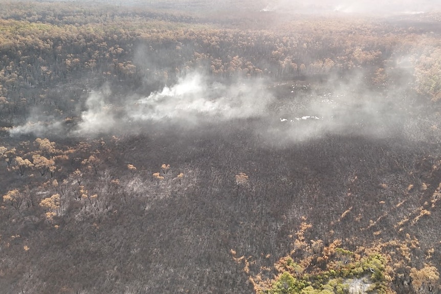 an aerial photo of burnt fireground