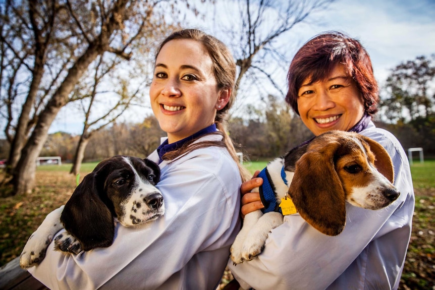 IVF puppies with scientists