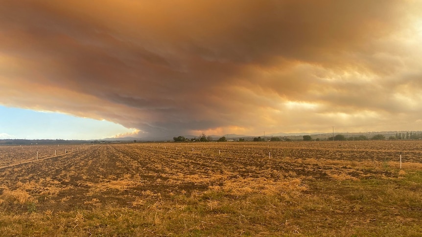 Reddish-coloured smoke from a bushfire with flat cultivated ground in the foreground.