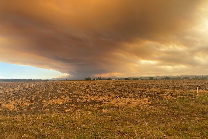 Reddish-coloured smoke from a bushfire with flat cultivated ground in the foreground.