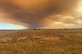 Reddish-coloured smoke from a bushfire with flat cultivated ground in the foreground.