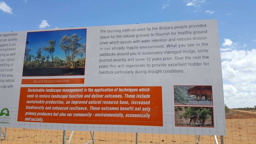 A sign explains the process of bulldozing mulga trees.