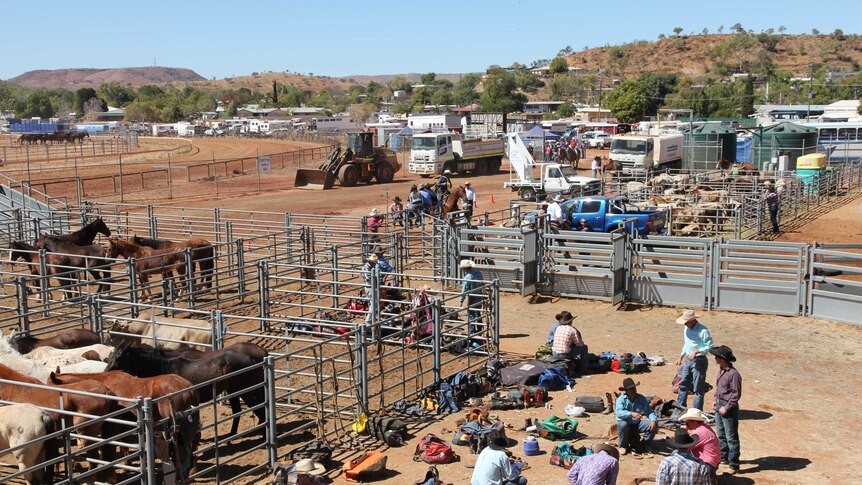 Cowboys standing in a cattle yard with a view of the racetrack and Mount Isa suburbs in the background.