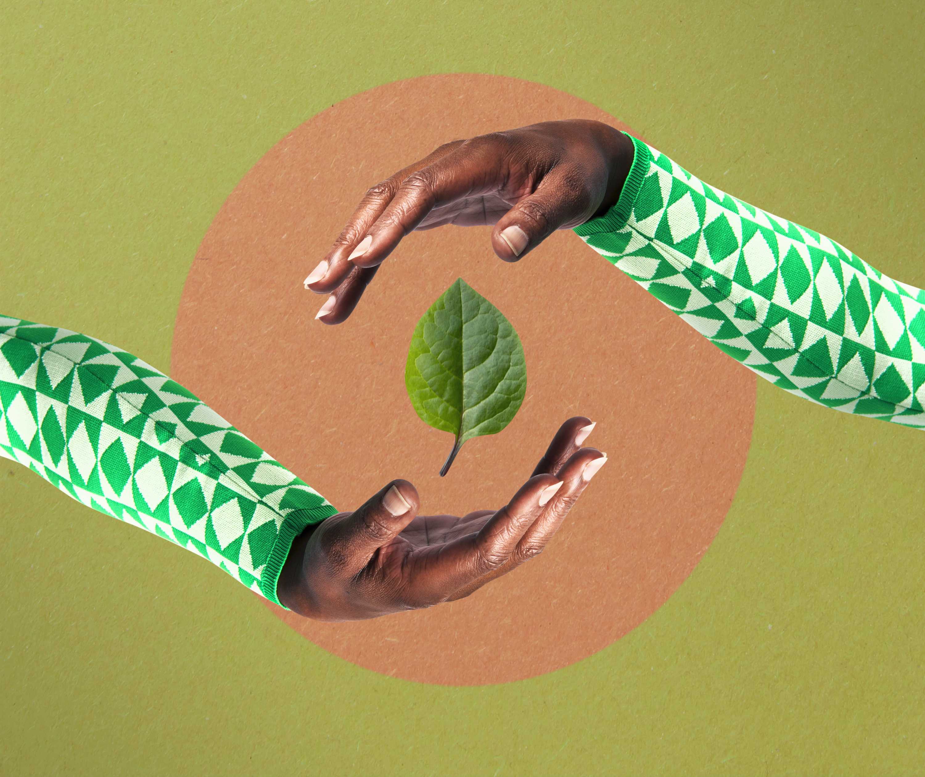 Why environmentalists and conservationists can be a problem for the ...