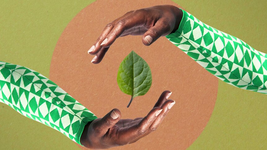 Illustration: hands surrounding leaf against green background