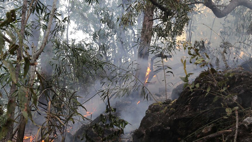 A small, controlled fire creeps slowly up a rocky hillslope in bushland