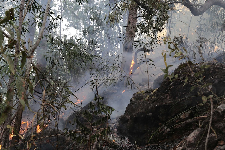 A small, controlled fire creeps slowly up a rocky hillslope in bushland