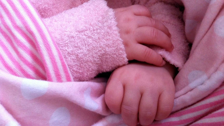 A close up of a baby wrapped in a pink blanket, showing only the hands.