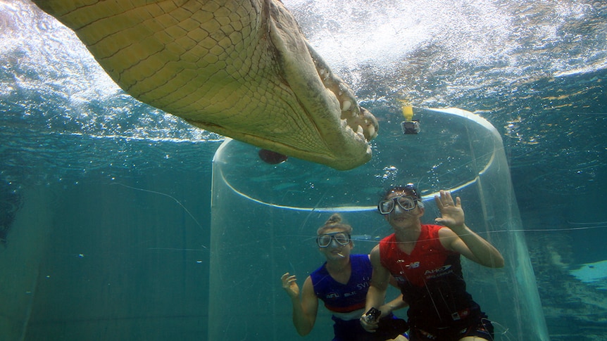 Footballers Katie Brennan (left) and Melissa Hickey come face-to-face with a crocodile