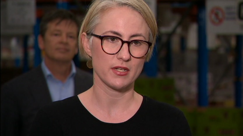 A woman speaking at a press conference.