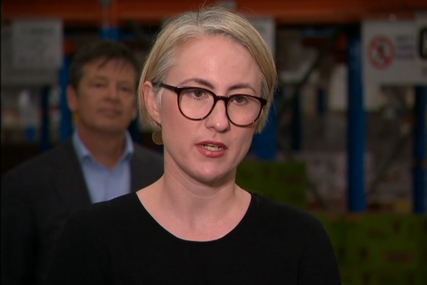 A woman speaking at a press conference.