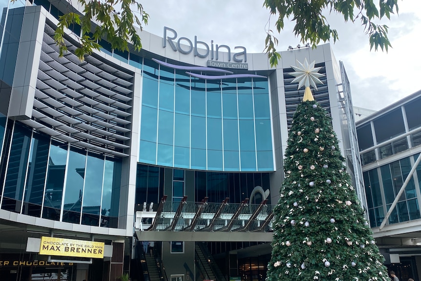 A side shot of a shopping centre with a christmas tree outside.