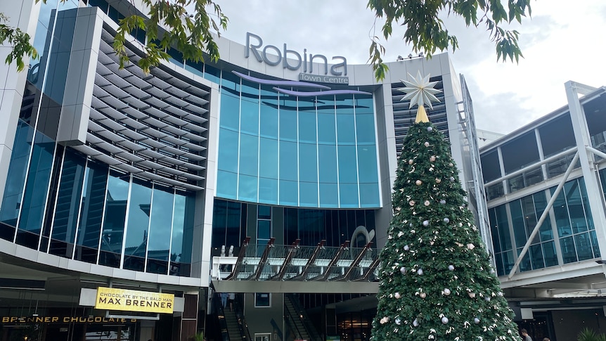A side shot of a shopping centre with a Christmas tree outside.