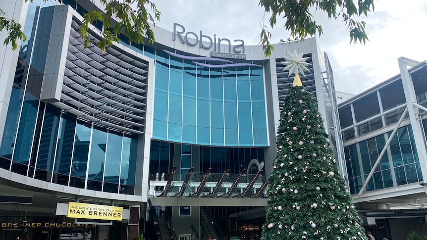 A side shot of a shopping centre with a christmas tree outside.