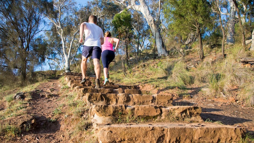 Mt Ainslie walk