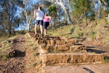 Two people walking up Mt Ainslie stairs Canberra.