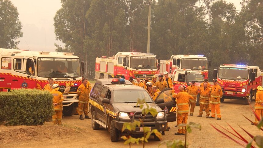 Five fire trucks of varying sizes are parked in a dusty carpark, along with another TFS vehicle and a number of firefighters