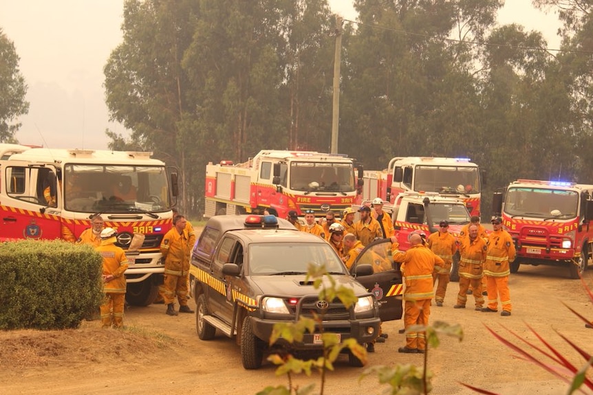 Five fire trucks of varying sizes are parked in a dusty carpark, along with another TFS vehicle and a number of firefighters