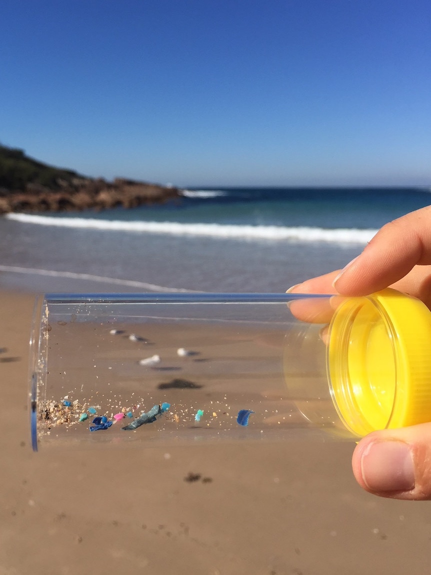 A close-up of a specimen jar with sand and specs of coloured plastic, with a calm blue ocean in the background