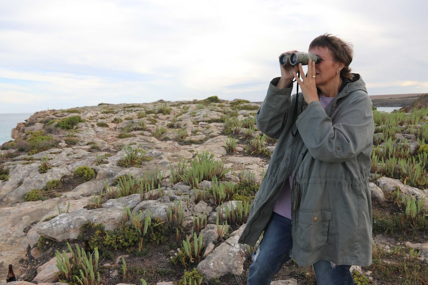 A woman stands on a cliff looking through binoculars.