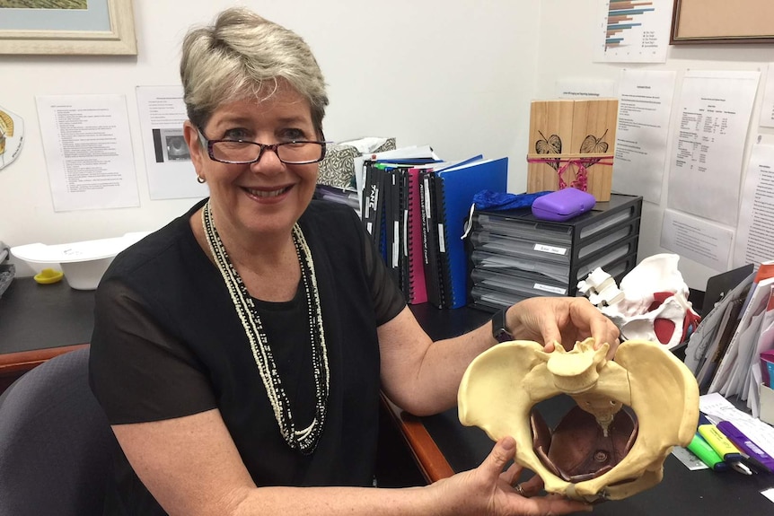 Brisbane women's health physiotherapist Sue Croft holds a fake pelvis in her office.