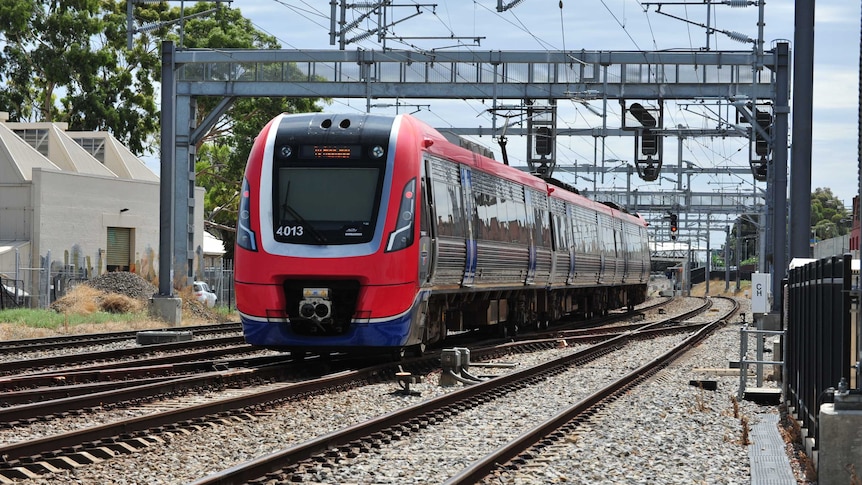 A red and blue train on tracks in Adelaide