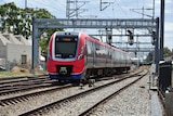 A red and blue train on tracks in Adelaide