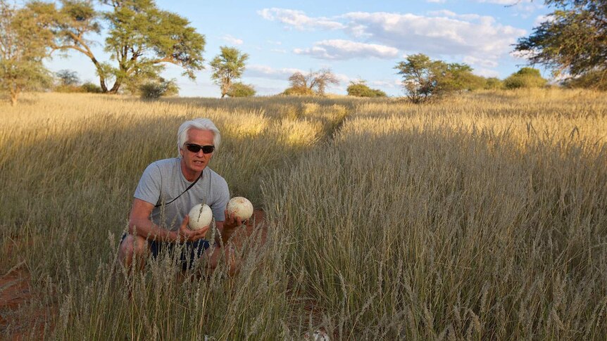British filmmaker Mike Birkhead holds ostrich eggs after a trip to South Africa.