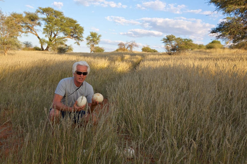 British filmmaker Mike Birkhead holds ostrich eggs after a trip to South Africa.