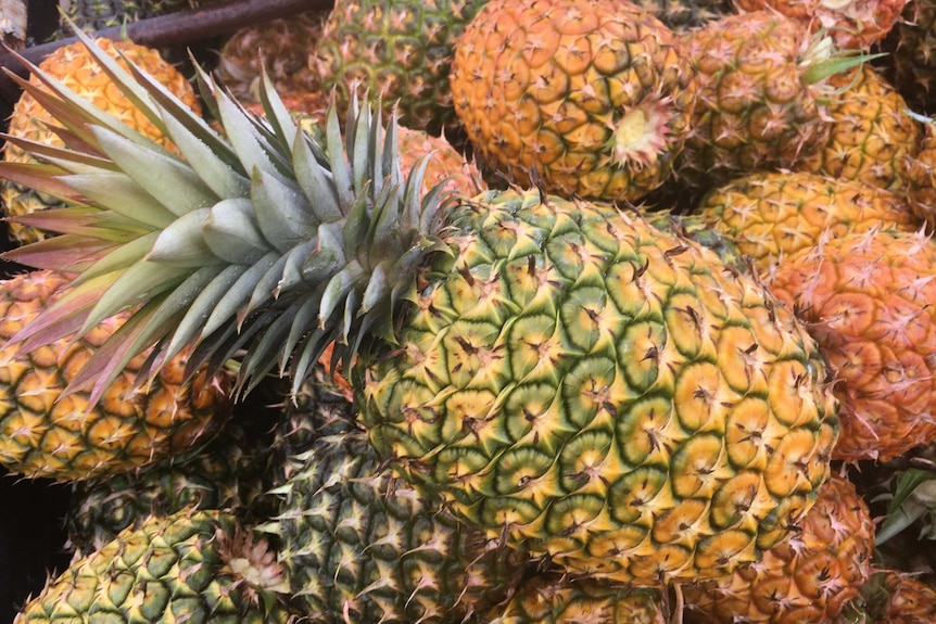 Close picture of pineapples
