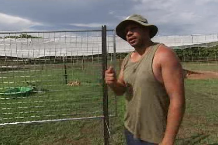 Former AFL footballer Daniel Motlop at a magpie goose enclosure in outer Darwin.