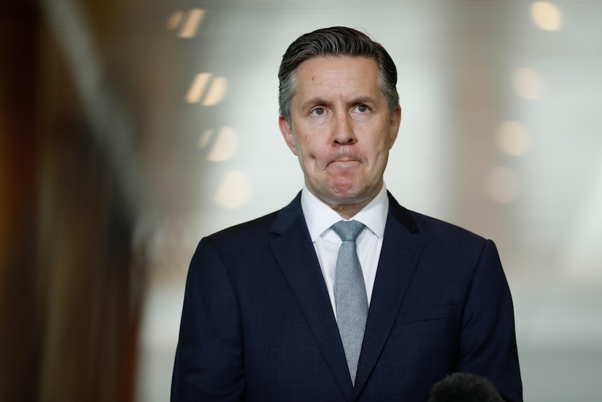 Mark Butler frowns at a press conference 