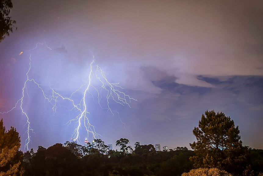 Big forks of lightning emerge from dark storm clouds over the Perth city skyline and trees.