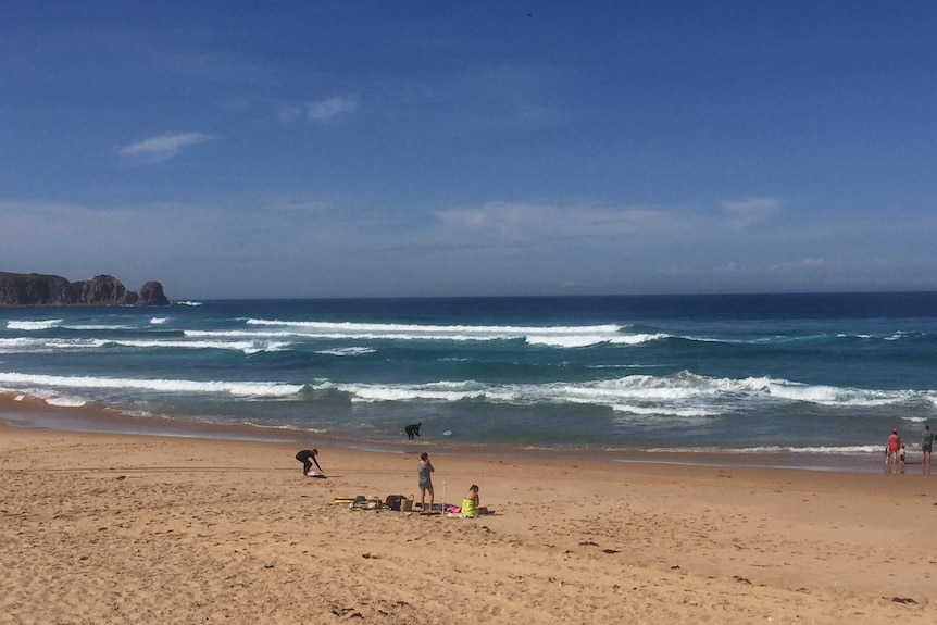 Beachgoers at Cape Woolamai where a group became caught in a rip on January 10, 2016